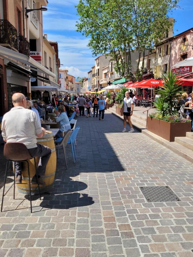 Apartament Bienvenue Dans Le Roussillon Argelès-sur-Mer Zewnętrze zdjęcie