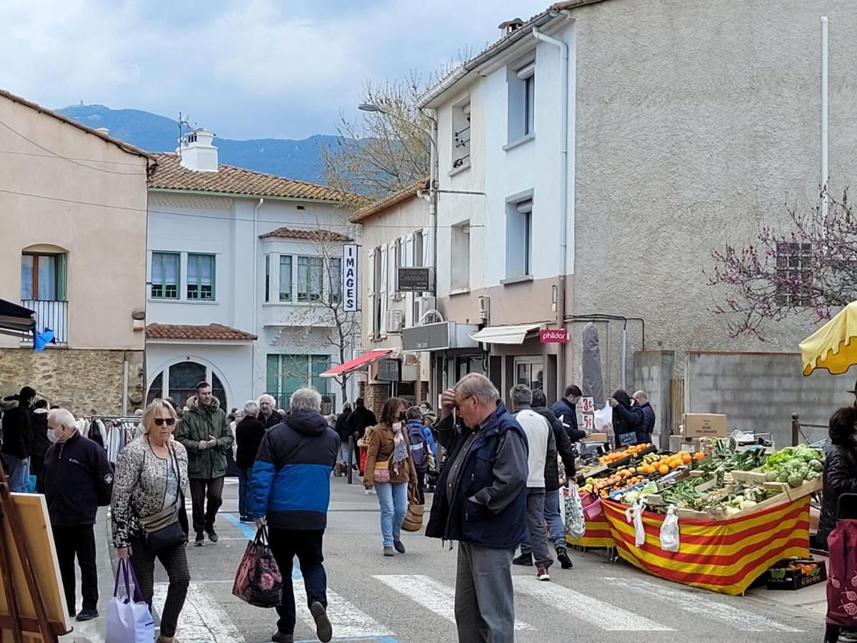 Apartament Bienvenue Dans Le Roussillon Argelès-sur-Mer Zewnętrze zdjęcie